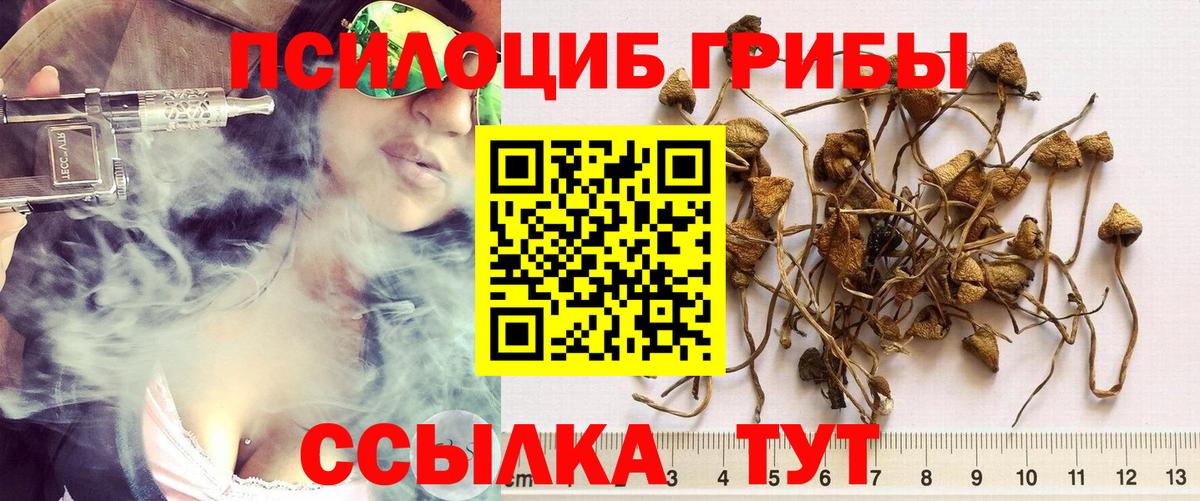 Качканар  Галлюциногенные грибы Cubensis  Вход с VPN 