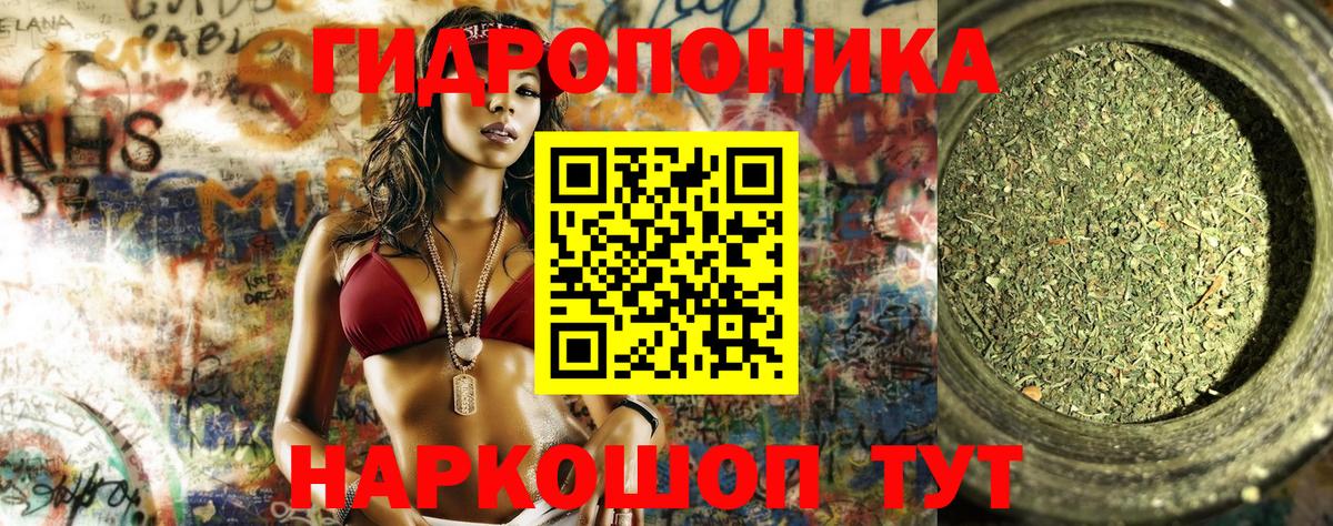 Конопля ГИДРОПОН Качканар
